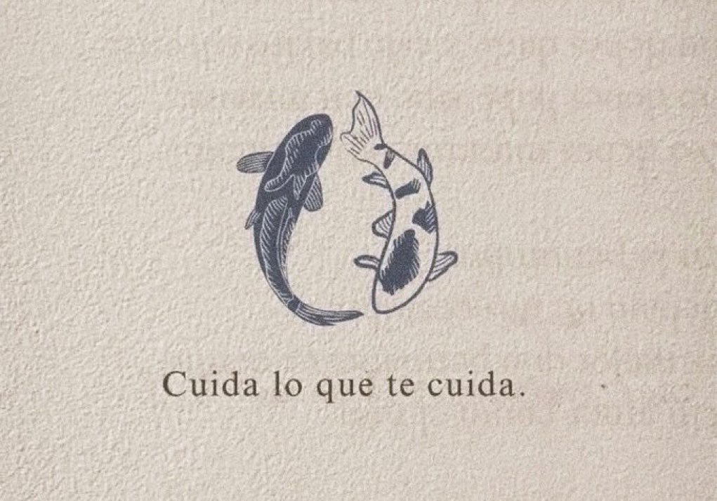 escritosnacion's tweet photo. https://t.co/jsY6EE4Cv0