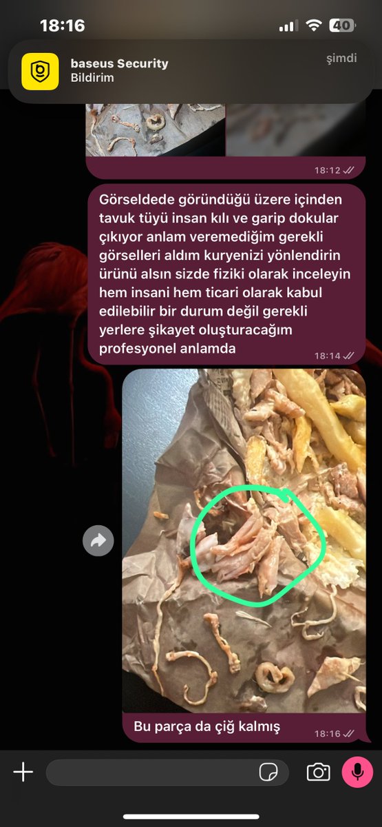 tuketicideney's tweet photo. ♦️Takipçi Şikayeti: 

"Maltepe şubesinden/sipariş platformu üzerinden sipariş verdiğim The Lord of the Chickens isimli işletmeden aldığım tavuk dönerin içinden temizlenmemiş tavuk tüyleri, deri, sinir ve kıkırdak parçaları çıkmıştır.Gıda güvenliğini ve insan sağlığını açıkça tehlikeye atan bu durum karşısında firmayla iletişime geçtiğimde ise hiçbir mahcubiyet duyulmadan, son derece umursamaz bir tavırla "istediğiniz yere şikayet edebilirsiniz" şeklinde bir yanıt aldım.Hem gıda hijyeni standartlarına uyulmaması hem de müşteri memnuniyeti ve sağlığının bu denli hiçe sayılması kabul edilemez. Yaşadığım bu mağduriyetin giderilmesini, gerekli hijyen denetimlerinin yapılmasını ve tarafıma resmi bir açıklama yapılmasını talep ediyorum. Tüm görselleri kanıt olarak şikayetime ekliyorum."