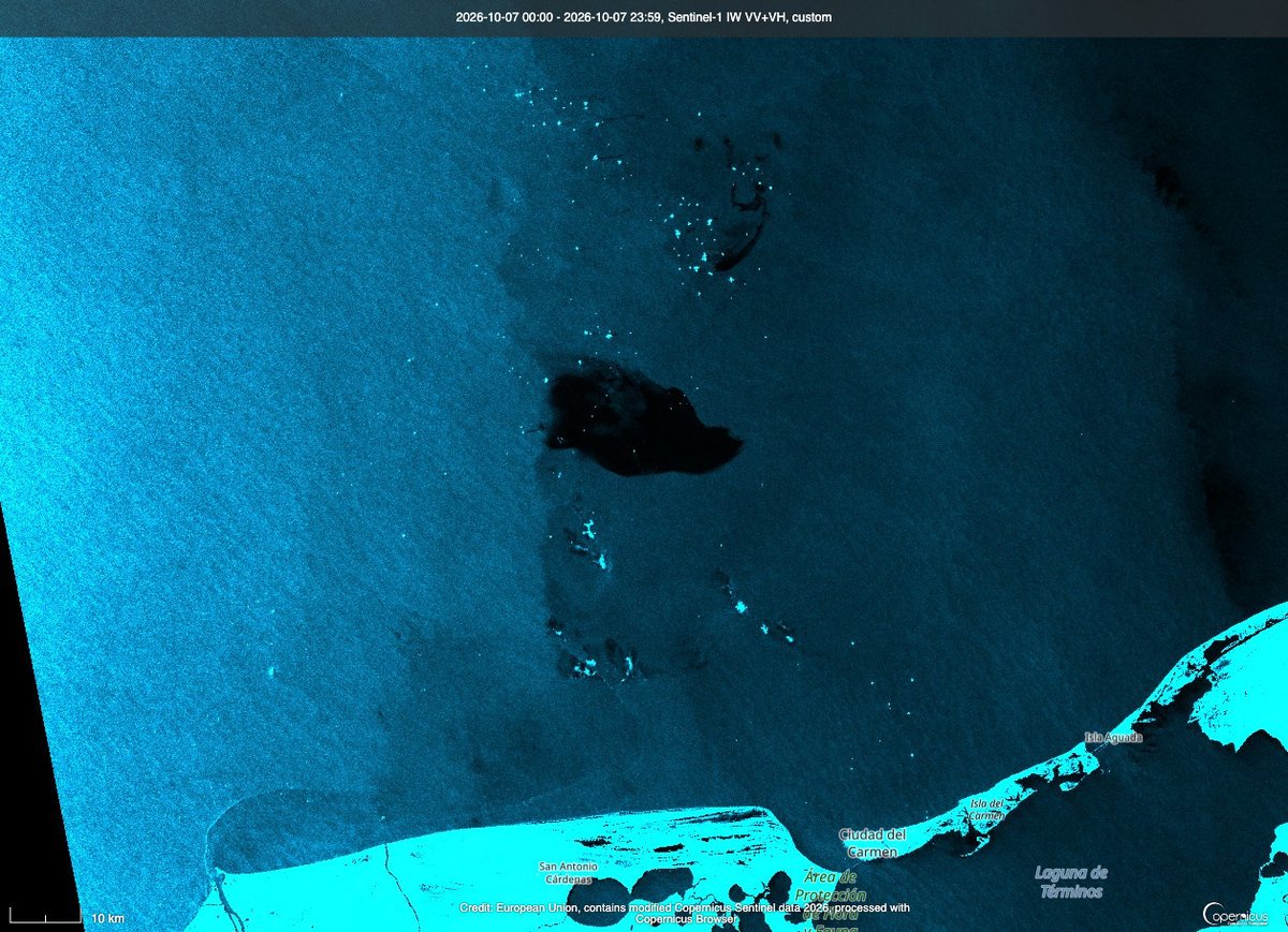 audelinomacario's tweet photo. Imágenes del Satélite Sentinel1 de la Agencia Espacial Europea confirmarían los indicios de un nuevo derrame de crudo en el Golfo de México 

La fotografia --proporcionada por la cuenta especializada en meteorologia @eit1mx-- se suma a las que publiqué el 3 y el 6 de octubre (tomadas por el Sentinel2) donde se aprecian manchas consistentes con hidrocarburos en la Sonda de Campeche.
@Pemex ha guardado silencio frente a las evidencias.
Lo mismo han hecho instituciones del sector como @SEMARNAT_mx, @SENER_mx, la @agencia_asea e incluso el recién formado "Observatorio Permanente del Golfo de México".
Esta última institución fue creada después del derrame de crudo en el mar, detectado en febrero, pero admitido hasta el mes de abril. El 10 de septiembre se reportó otro incidente de ese tipo y éste sería el tercer caso en 2026.
A falta de instituciones independientes, todas operan alineadas para tratar de ocultar lo que ocurre en el mar a consecuencia de la operación de plataformas y ductos petroleros.