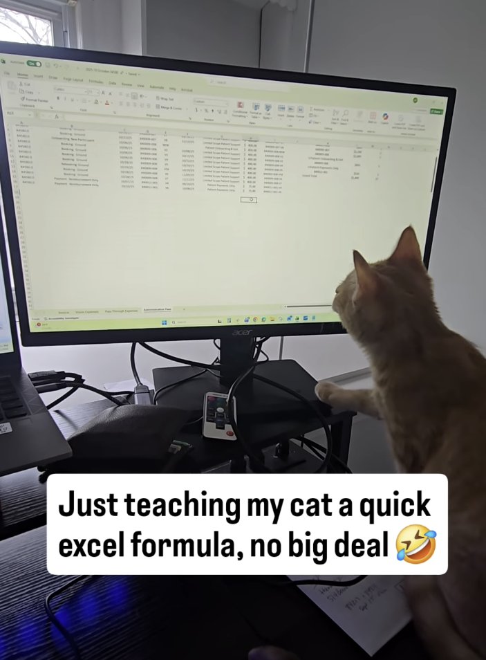 CatWorkers's tweet photo. https://t.co/0bKoMX6XVz