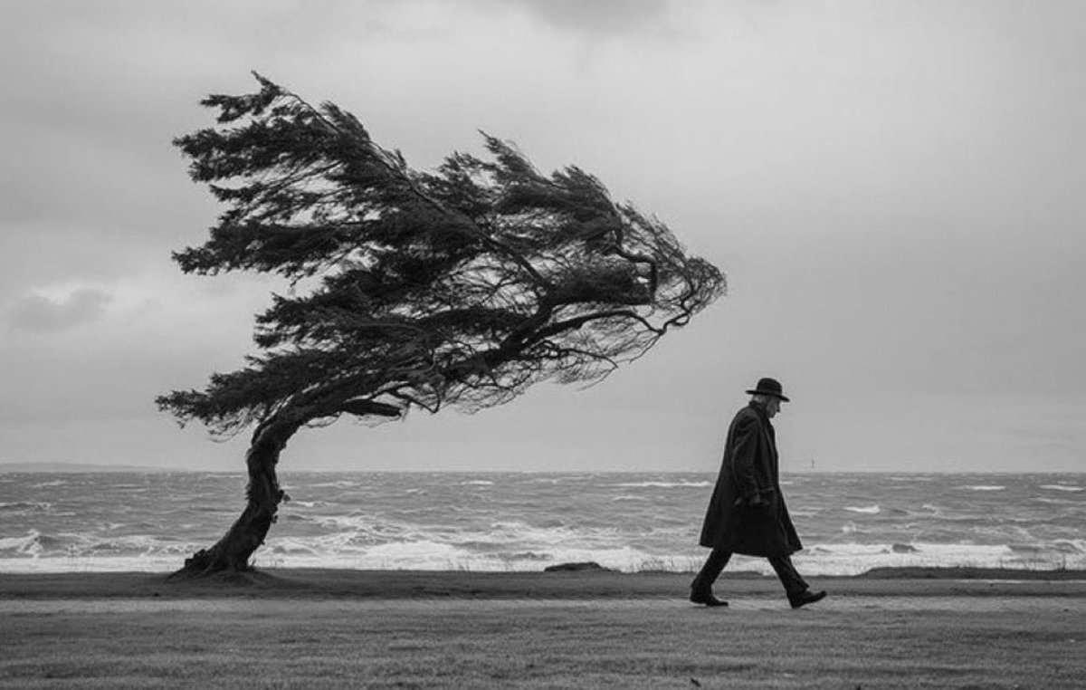 unspokenmind56's tweet photo. “Do not compare, do not measure, there is no other path like yours.”

~ Carl G. Jung https://t.co/84bkRnjqYZ
