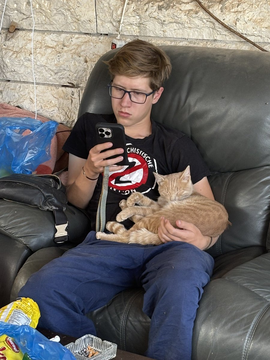 the_andrey_x's tweet photo. 🇵🇸 🐈‍⬛ Palestinian cats to interrupt your doomscrolling https://t.co/FSTa8vr5zh