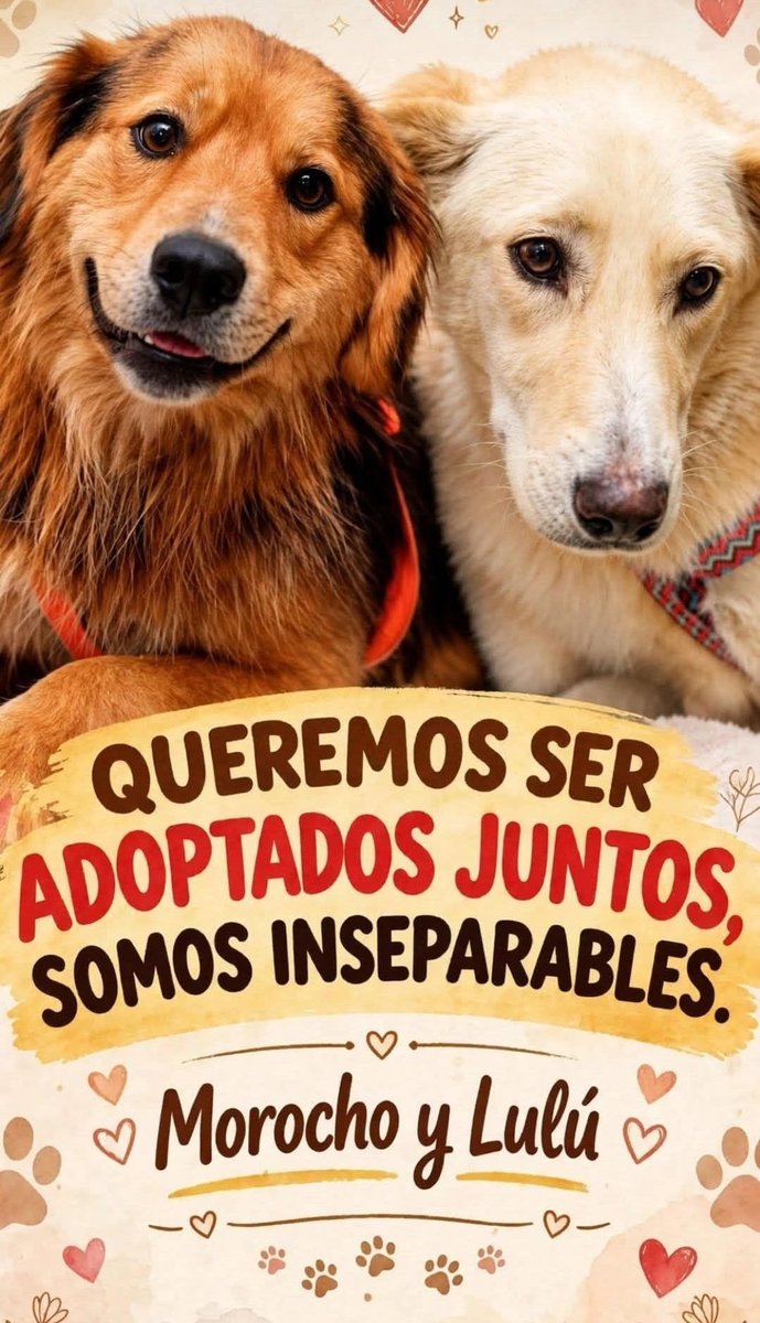 eltuitdemarsh's tweet photo. #LiberenAMorocho
#FreeMorocho
#DevuelvanAMorocho https://t.co/zWx3yYuUiq