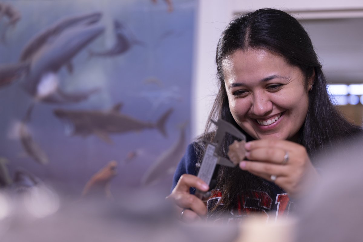 csuf's tweet photo. To celebrate 60 years of CSUF’s Department of Geological Sciences, we’re looking back at a remarkable Titan discovery. 🔎 🐢

In 2025, graduate student Emma Martinez helped describe a new species of 32-million-year-old leatherback sea turtle with faculty adviser James Parham, marking her first published research.

Learn more: https://t.co/BdbB8KjJFA