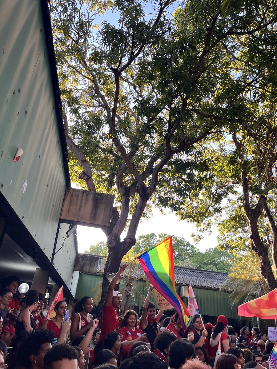 ingrassaada's tweet photo. Piauí é Lula ⭐️❤️ https://t.co/zbk0upLvHH