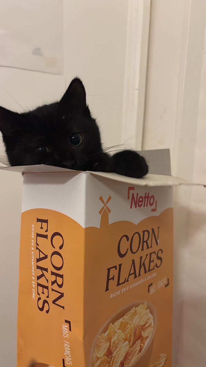 blackscats's tweet photo. https://t.co/aPloucOcbn