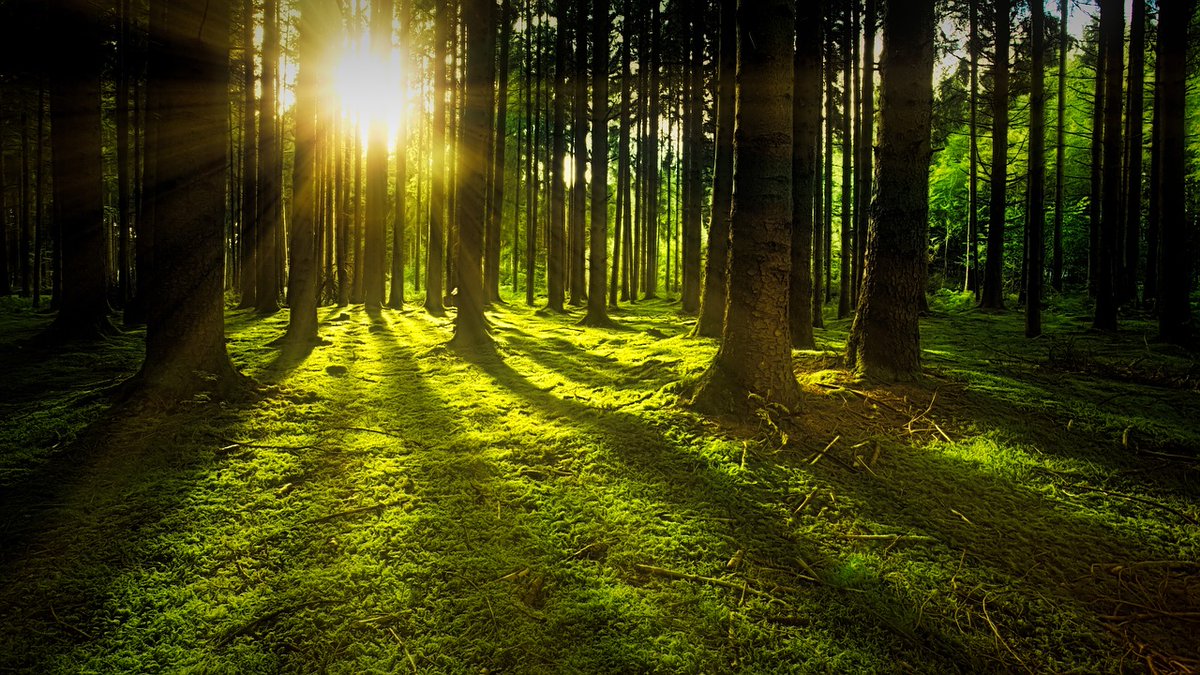 MDCounties's tweet photo. 🌳 @FredCoGovMD secured over $1.5M in new grants to expand its Creek ReLeaf program. https://t.co/Bj6DSPf1QI https://t.co/kkr5OoO5l8