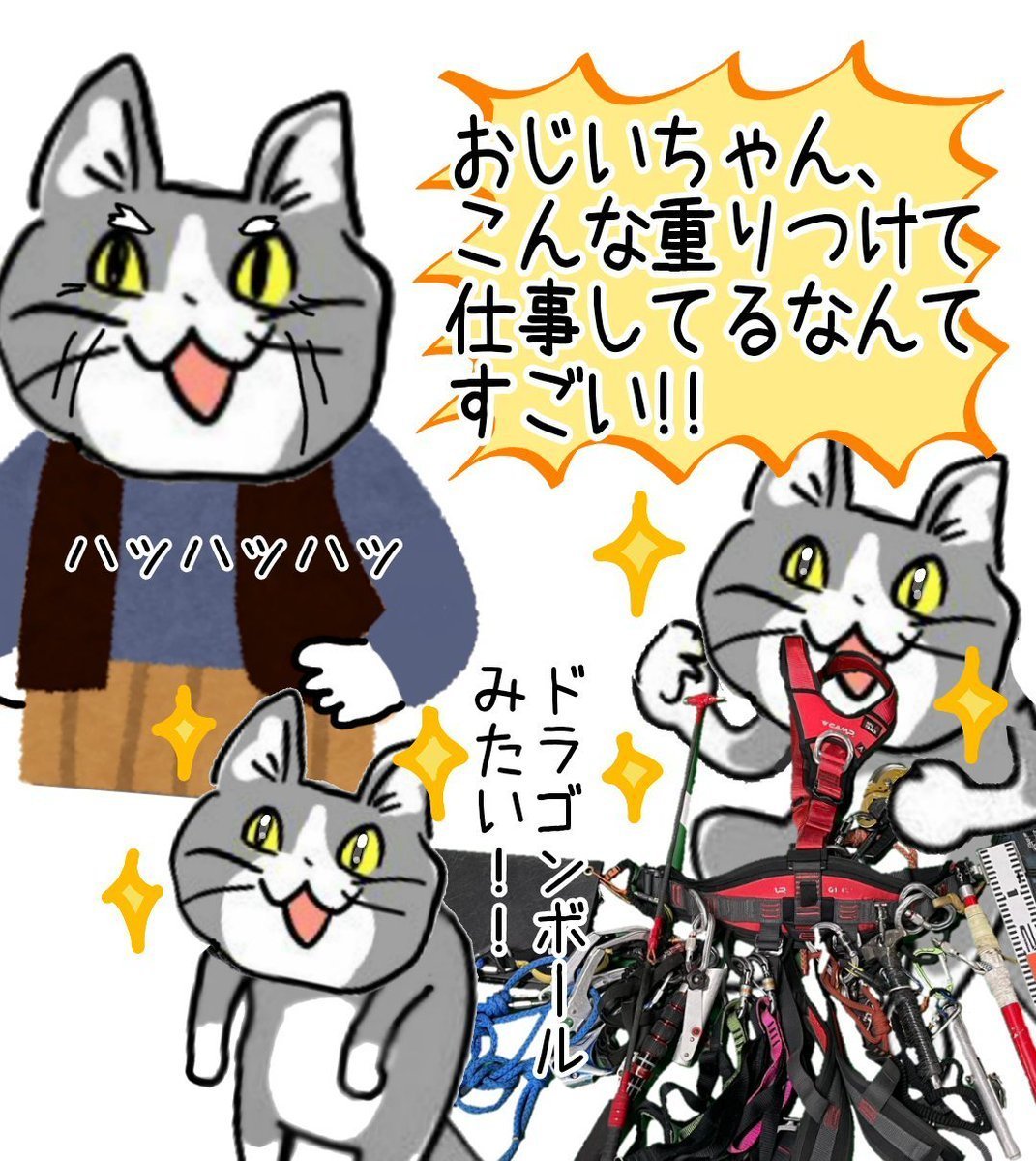 karaage_rutsubo's tweet photo. なにげなく歩いてる人が実はすごく重い装備をしているの、ドラゴンボールみあって好き #現場猫 https://t.co/G6KeZY31NJ