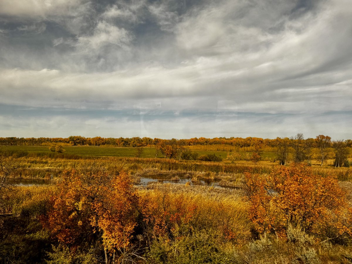dimesawasted's tweet photo. A prairie sunset: 
Shot gold, maroon and violet, 
dazzling silver, emerald, fawn, 
The earth’s whole amplitude and nature’s multiform power consigned for once to colors; 
The light, the genial air possessed by them; colors till now unknown, no limit, confine; not the Western sky alone; the high meridian; North, South, all, pure luminous color 
fighting the silent shadows to the last. 
~Walt Whitman 
#GrandErrantry