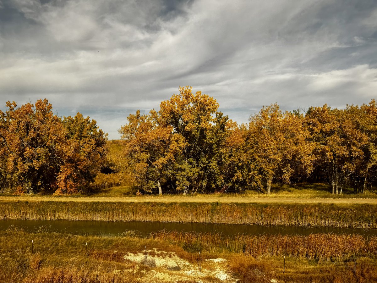 dimesawasted's tweet photo. A prairie sunset: 
Shot gold, maroon and violet, 
dazzling silver, emerald, fawn, 
The earth’s whole amplitude and nature’s multiform power consigned for once to colors; 
The light, the genial air possessed by them; colors till now unknown, no limit, confine; not the Western sky alone; the high meridian; North, South, all, pure luminous color 
fighting the silent shadows to the last. 
~Walt Whitman 
#GrandErrantry