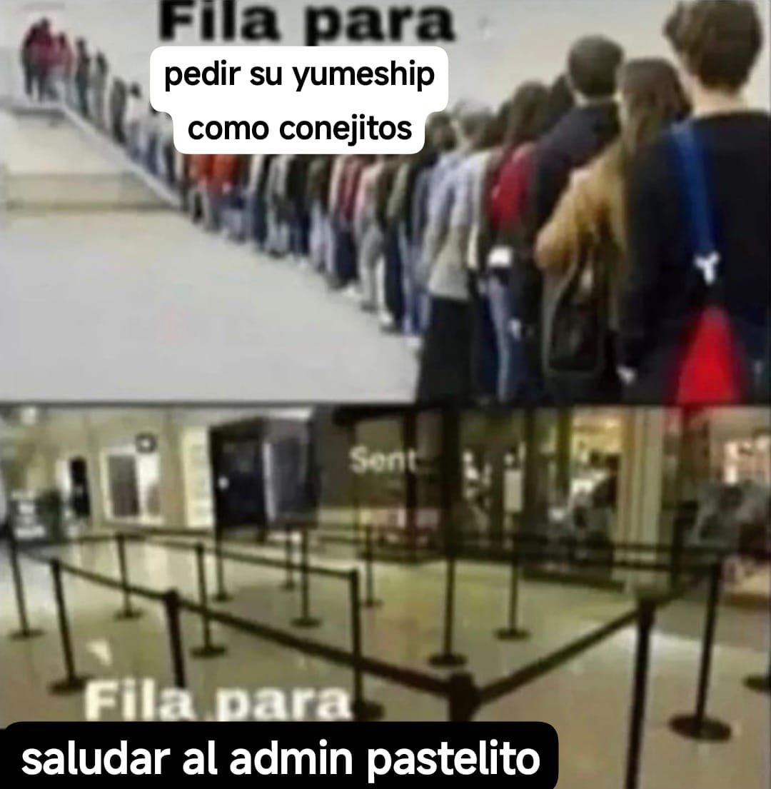 yumeconejitos's tweet photo. hola!! se abren otros cinco cupitos para yume conejitos, plis comenten una foto de su shipcito con nombre. **solo 5 por favor!!! si ven que ya hay cinco comentarios plis abstenerse de pedir pq aca su servidor no puede decir que no ₍ᐡඉ .̫ ඉᐡ₎ https://t.co/GeSMOzqphW