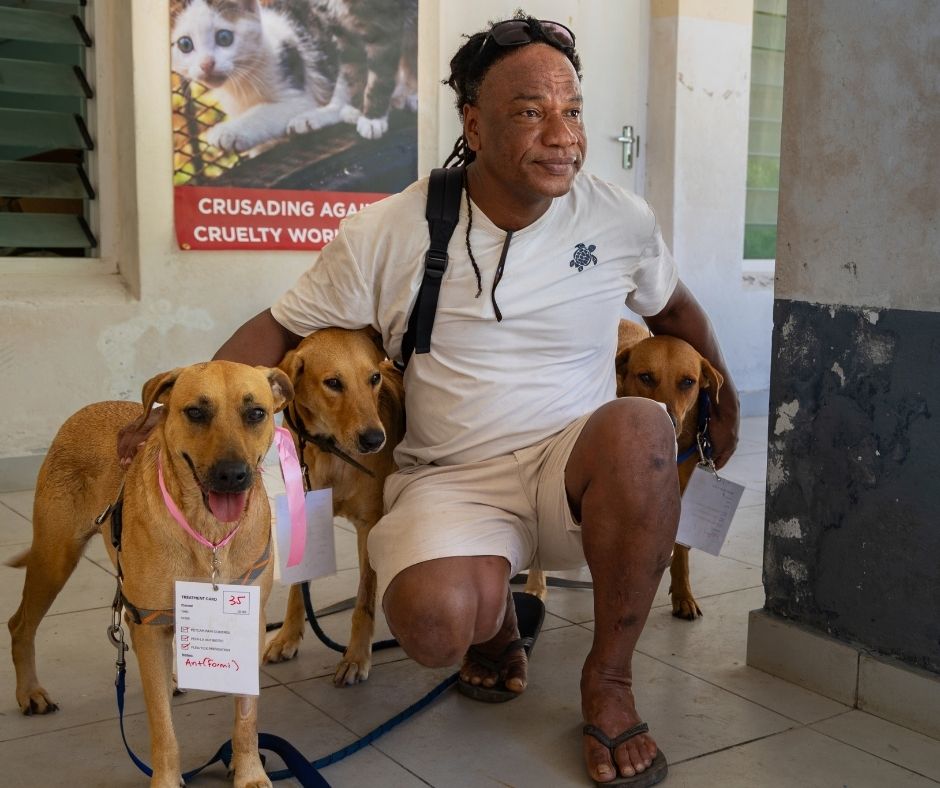 Network4Animals's tweet photo. 🇸🇨🐾 LA DIGUE UPDATE: 45 ANIMALS STERILISED IN JUST TWO DAYS! 🐶

Our Network for Animals veterinary team has hit the ground running on La Digue, Seychelles, and we're already making a lifesaving difference for the island's dogs and cats!

👉 Read more: https://t.co/252Bf2Bwxh https://t.co/ztodOSye01