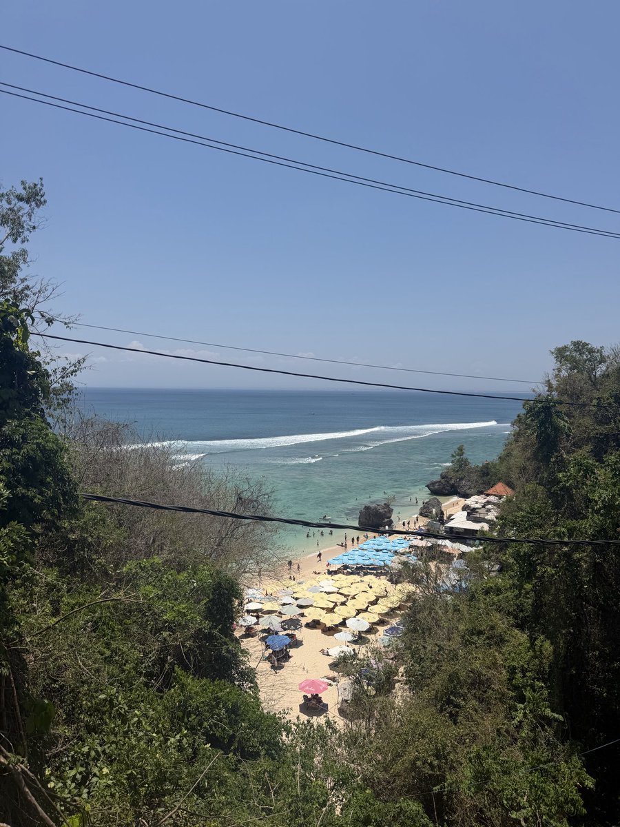 catdaly's tweet photo. Every year I spend a few weeks in Asia and leave questioning why I even live in the west https://t.co/6BNHP2CW1V