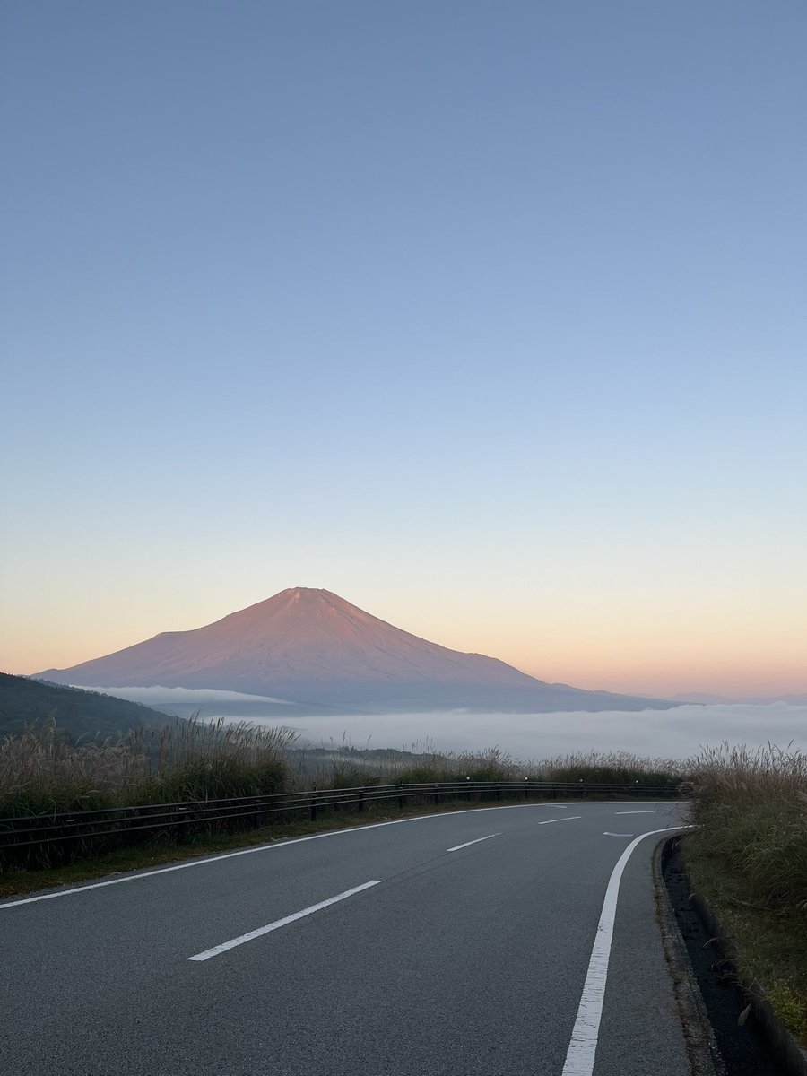 yu_yu_CBR20154's tweet photo. 控えめに言って最高です。
ここ日本ですか? https://t.co/hunYHvSSnR
