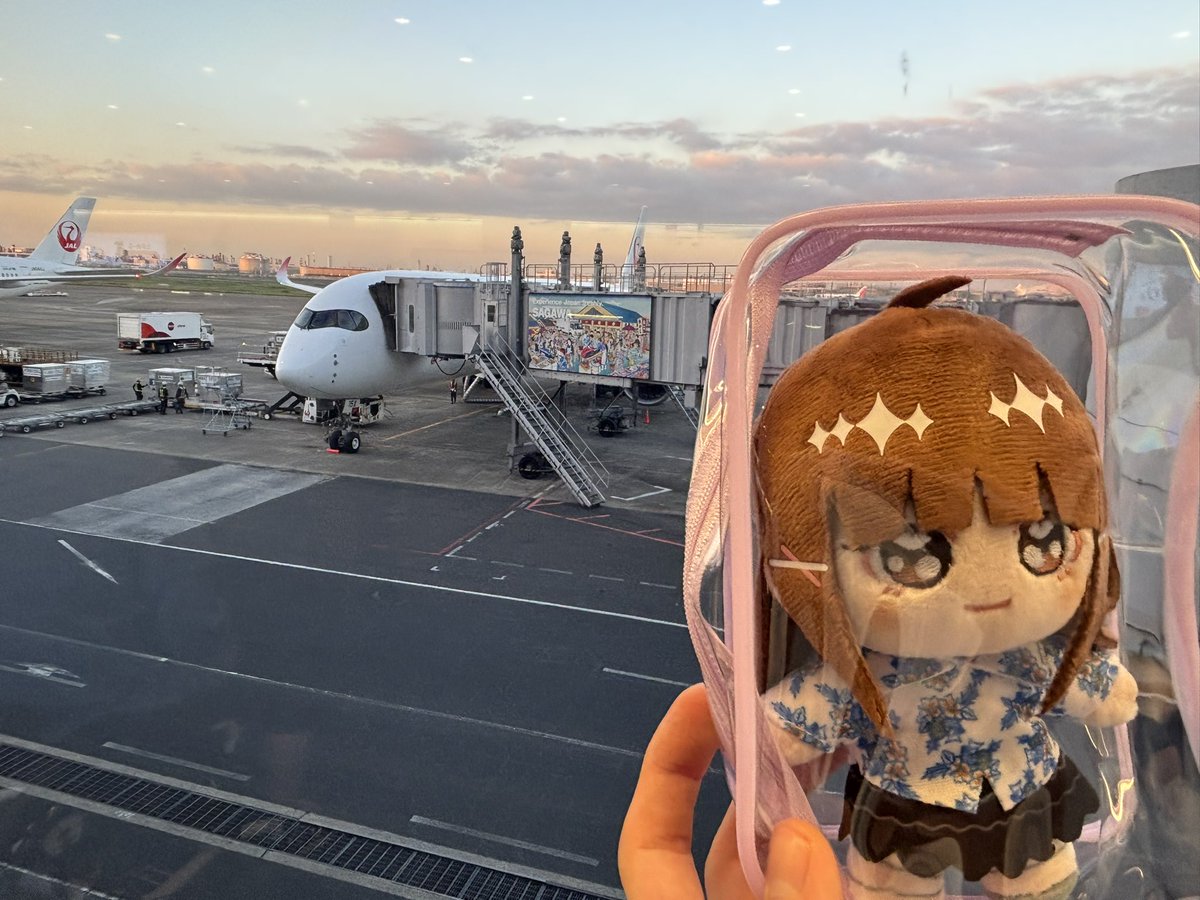 yannbi70's tweet photo. 朝イチの飛行機で沖縄向かうぞ〜。ここまででかい飛行機乗るの久しぶりかも。
相変わらず旅行時の体調が万全ではない。
まぁ今回は久しぶりの1人旅行では無いので気が楽かも？？

#鈴木愛奈
#いきわらぬい活
#だーやんと愛奈ぬいのおでかけ記 https://t.co/ZNBZwCD5CB