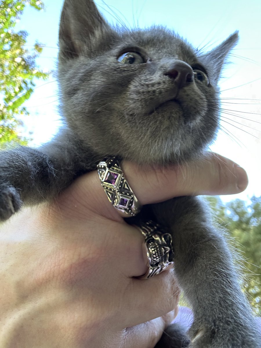 DeepyVT's tweet photo. what would you name him?? https://t.co/ms2Z6CzM5q