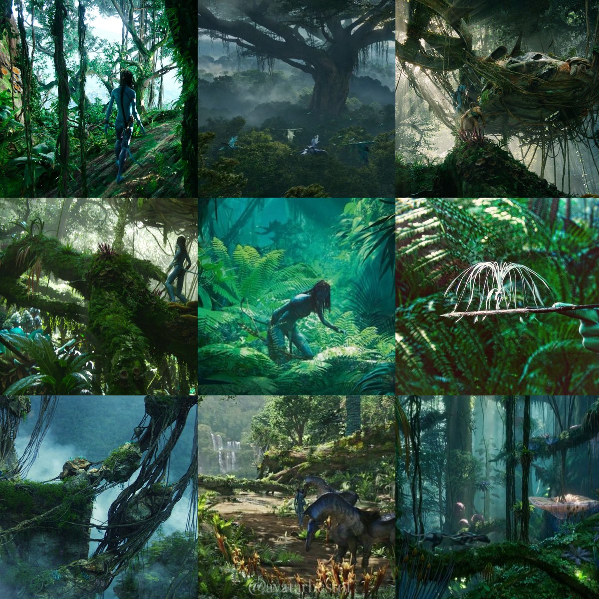 avatarbestof's tweet photo. this is where i tweet from 🌿 https://t.co/BqbLKsedFd