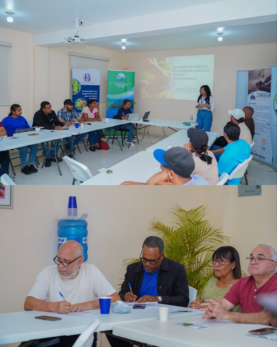 digera_rd's tweet photo. 🌱 Realizamos en Mao, Valverde, el taller “Entendiendo el Seguro Paramétrico”, fortaleciendo los conocimientos de productores sobre esta herramienta de protección ante riesgos climáticos.
🤝 Agradecemos a CEDAE por su respaldo a esta iniciativa.
#DIGERA #SeguroParamétrico #Mao https://t.co/2tvV4sZyGP
