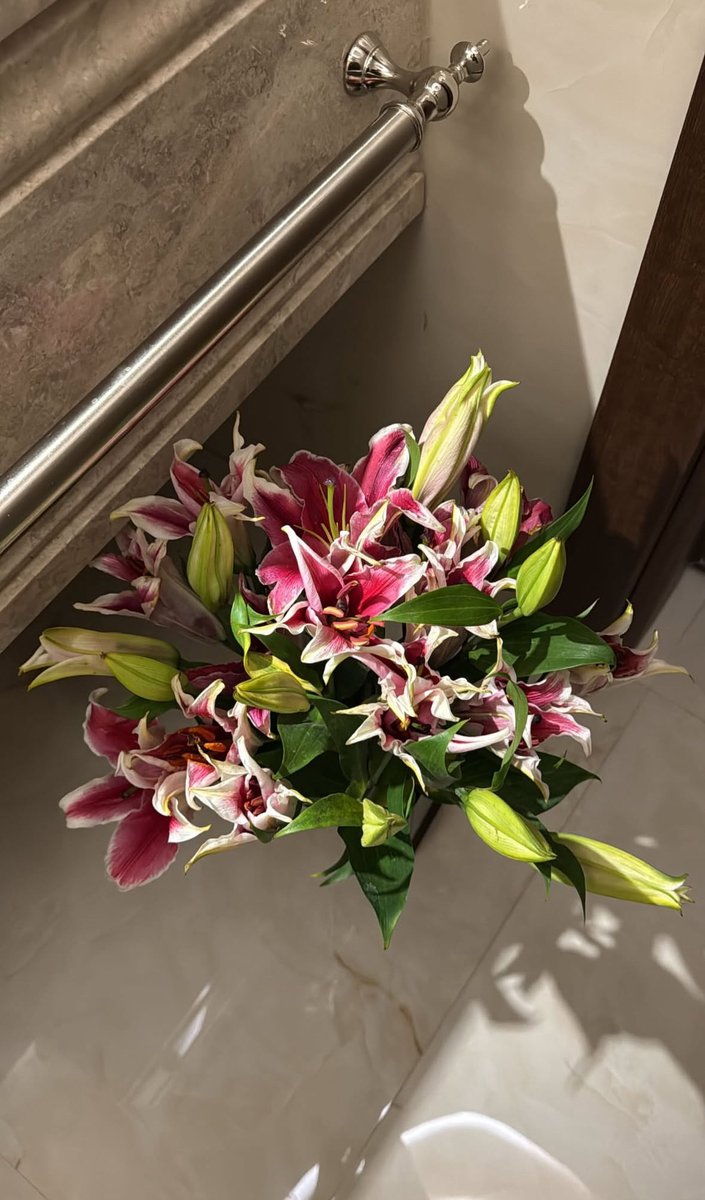 i6ldl's tweet photo. My fav flower is the lily https://t.co/jw590QWikp