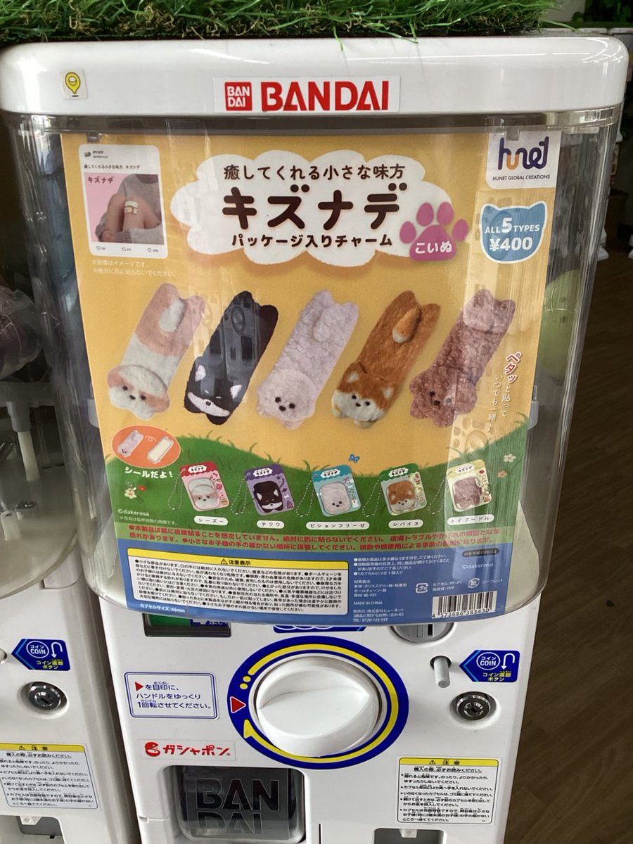 gashacoco 公式X（本部）の入荷情報の写真
