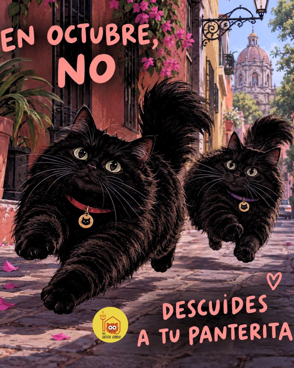 El_gatitoGordo's tweet photo. https://t.co/W4QYvJSeeY