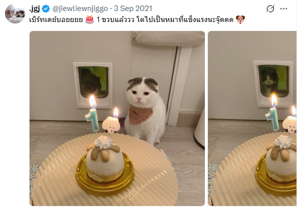 chen_xiaoqing's tweet photo. @jiewliewnjiggo อุนแม่ .... https://t.co/tPM2yOMc1W