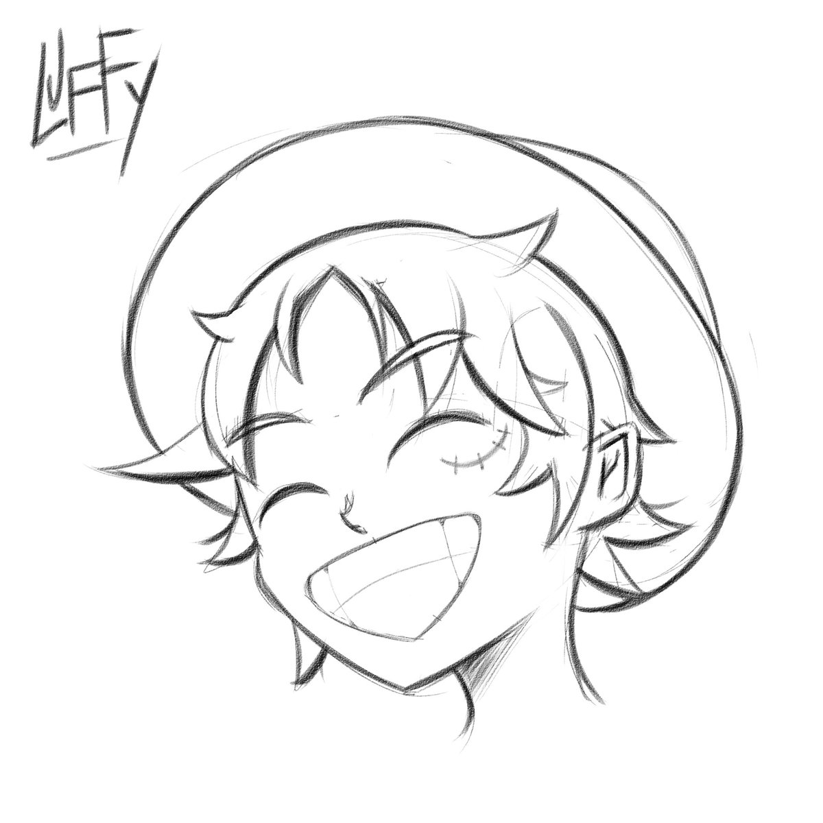 SaeVT_'s tweet photo. El Luffy con el que practique hoy ₍^. .^₎⟆

No me convence el sombrero pipipi https://t.co/IK9m9cLwaJ