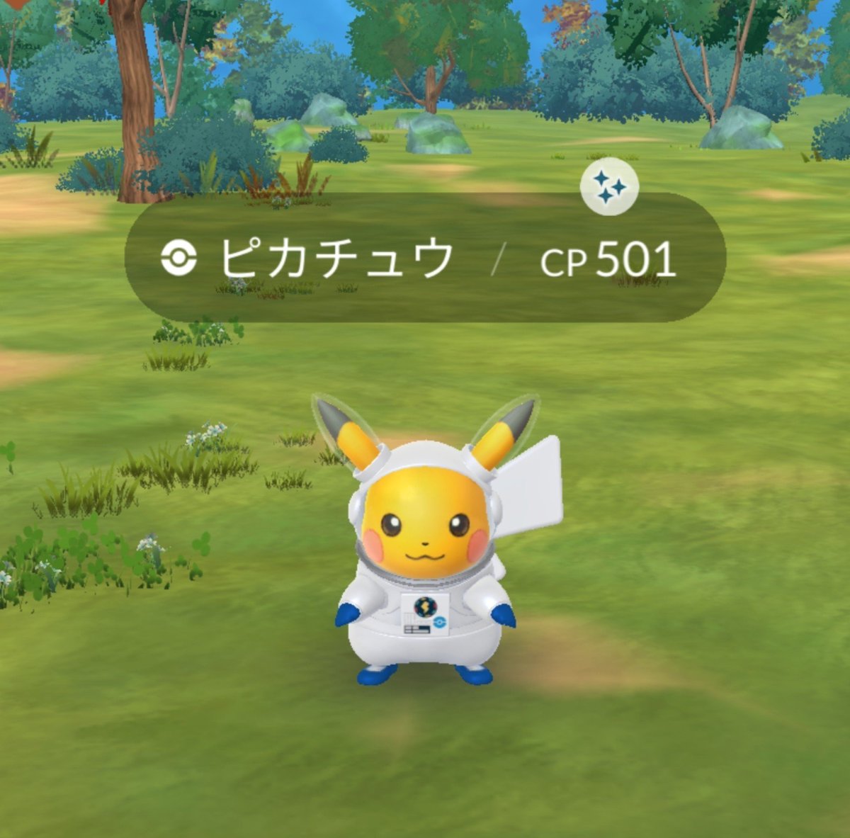 usagitoriPKGO's tweet photo. ピカチュウ焦げたー！✨
これで解放される… https://t.co/NCRxvJisfD