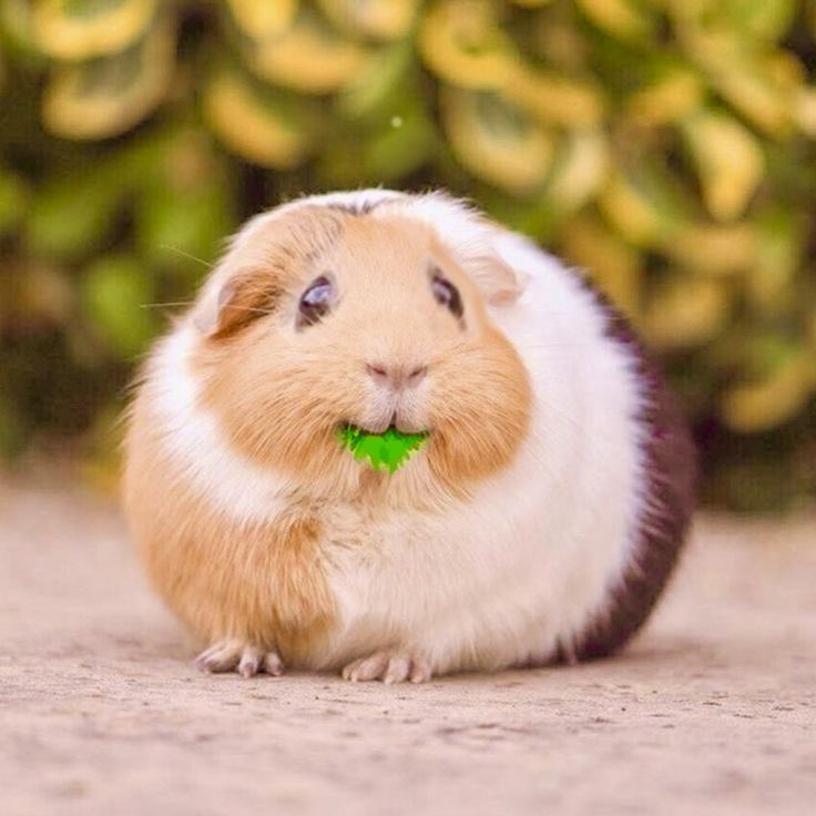 sealulu_'s tweet photo. I  cant  stop Eating the   Sludge https://t.co/pG9NRLRZuJ