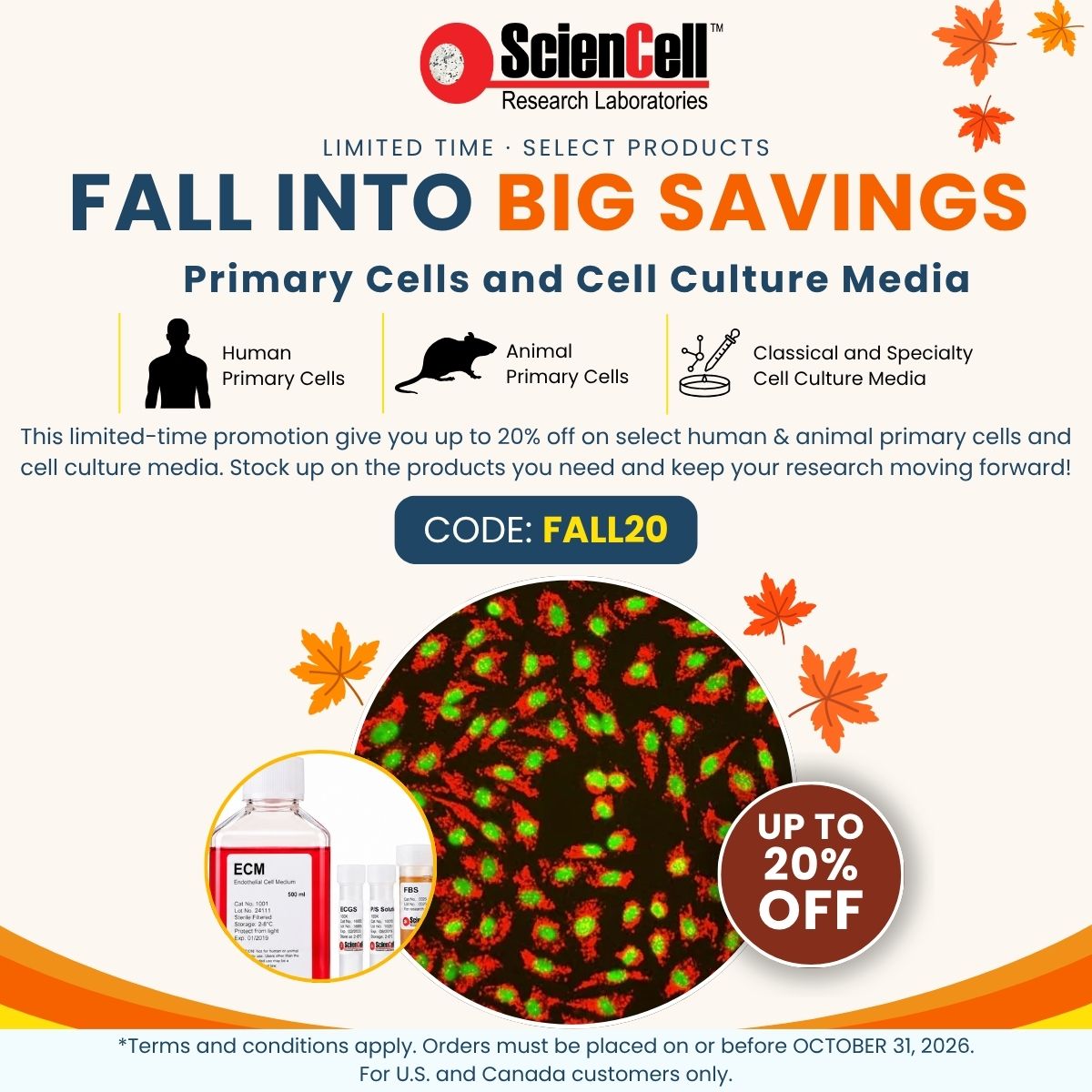 sciencell's tweet photo. 🍂 Fall Research Savings! Save up to 20% on select ScienCell primary cells &amp; culture media. 

🔗 Explore eligible products: https://t.co/5lkBRRRkok

Use code FALL20 at checkout! 🔬 

#CellCulture #PrimaryCells https://t.co/sIHgxTM9lY