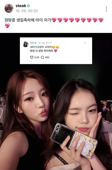 A Korean social media post features a selfie of two young women with a comment screenshot overlaid that includes the text '내 아기고양이 코미어 😂😂 평생 내 생일 축하해줘 💗' (My baby cat Komi happy birthday, celebrate my birthday forever), posted by 'steak' on 10.09.