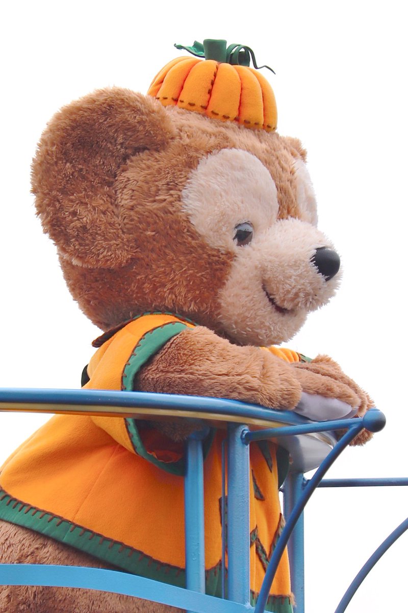 khw_bn73c's tweet photo. モフモフなかぼちゃダッフィーに埋もれたい🐻️🎃💕💕 https://t.co/M9jRmkiBOn