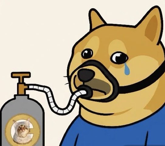Zyxicus's tweet photo. @nofucksmagee #CATEFLIPSDOGE https://t.co/1676CKU688