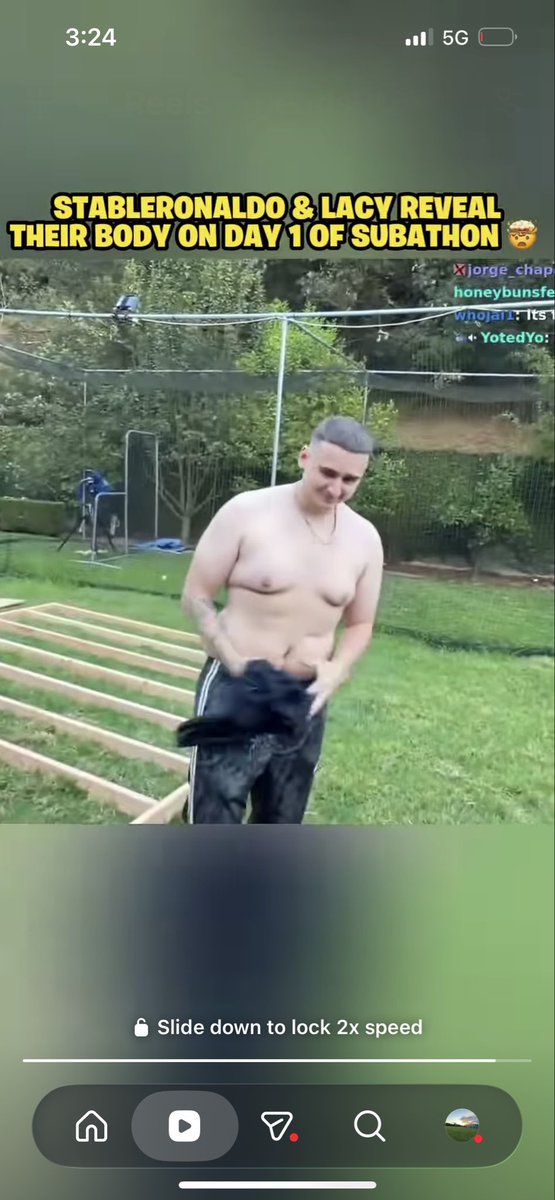 zolveddog tweet picture