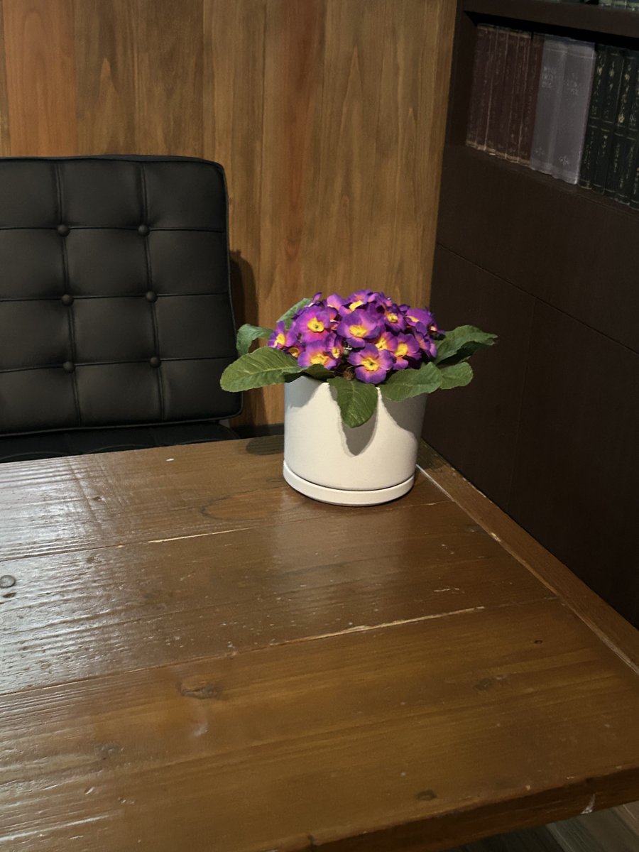 minarai_oekaki's tweet photo. MAPPA展の五条がいた部屋に置いてあった花の花言葉を調べてしまい撃沈した https://t.co/ryL7DOtCz5