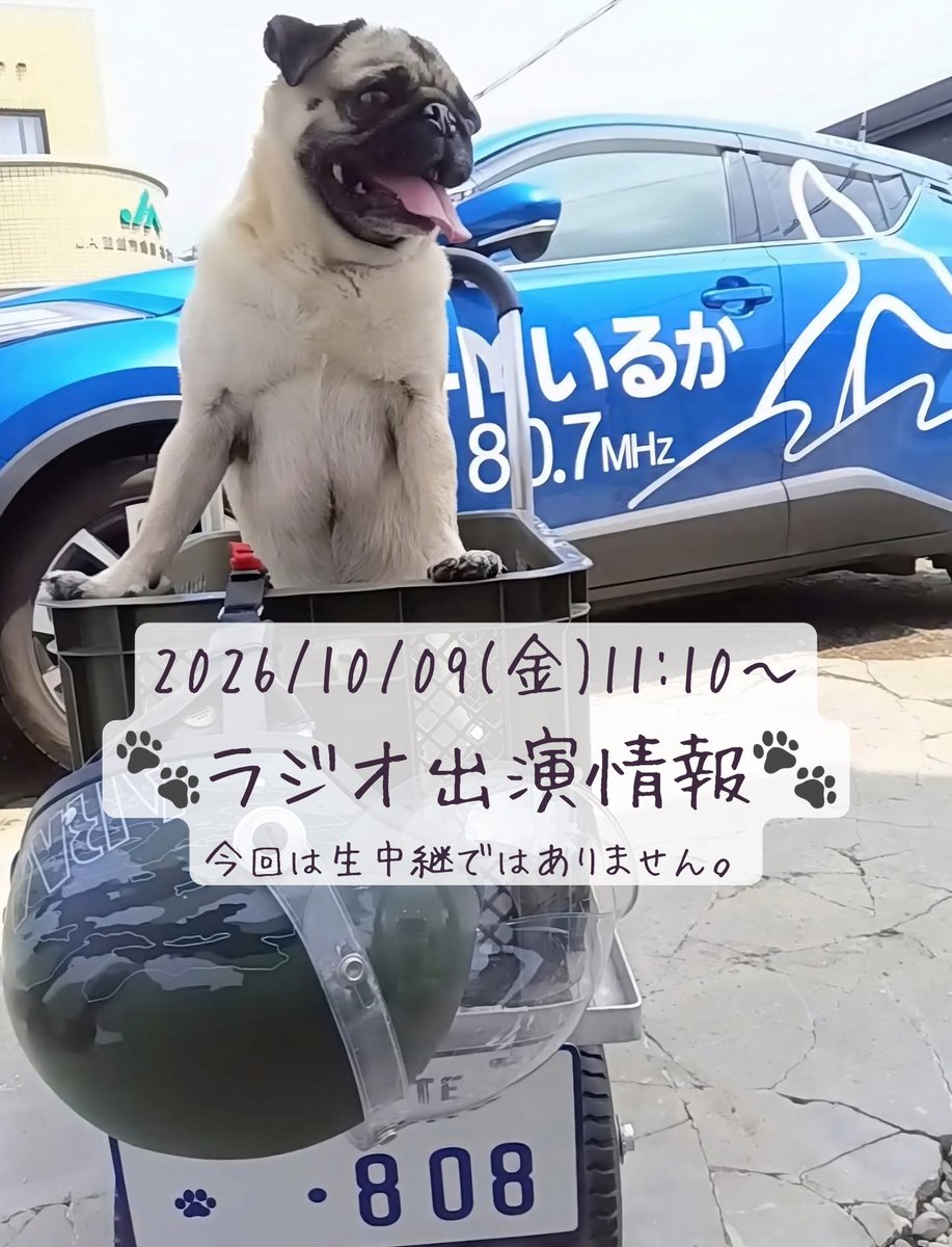 yami_ichi_08's tweet photo. 🐾ラジオ出演情報🐾
#函館
#FMいるか
@fmiruka 
2026/10/09(金)
【BUZZ&YELL!! 】

🕚11:10〜11:30位迄
『人ネットワーク』
今回は景清グループを代表して
佐々木代表と附田マスターが
ゲスト出演します🎤✨

トークの内容も2人のリクエスト曲も
乞うご期待です🤭
是非ご視聴くださ〜い♪
#零度
#函館零度

ちなみに...
今回はお留守番だった🐶千ちゃん店長も
FMいるかさんの拠点地
#函館山ロープウェイ に乗って
一緒に観光したことがありま〜す🚡

👇ペットの乗車に関しては
⚠︎体が完全に収納出来る
カートやキャリーバッグ等に入れば乗車可能です。
⚠︎頭や体の一部が出てしまうような
スリングやリュックは不可です。
⚠︎カートやキャリーバッグ等の貸出しも
ありません。