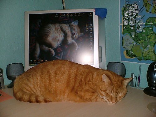 OldInternetFeel's tweet photo. 2005 https://t.co/H7Z21s55YM