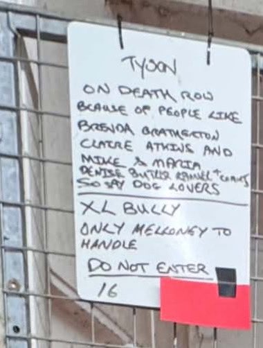 Laelaps_UK's tweet photo. MISSING dog; Tyson from Nuts End Dog Kennels. Have you taken in Tyson? https://t.co/WVUJQtoEkm via @YouTube https://t.co/2M3DUuDaQn