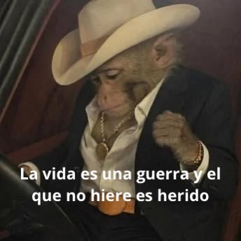 conoloracigarro's tweet photo. https://t.co/5cAZRJwJ6Q