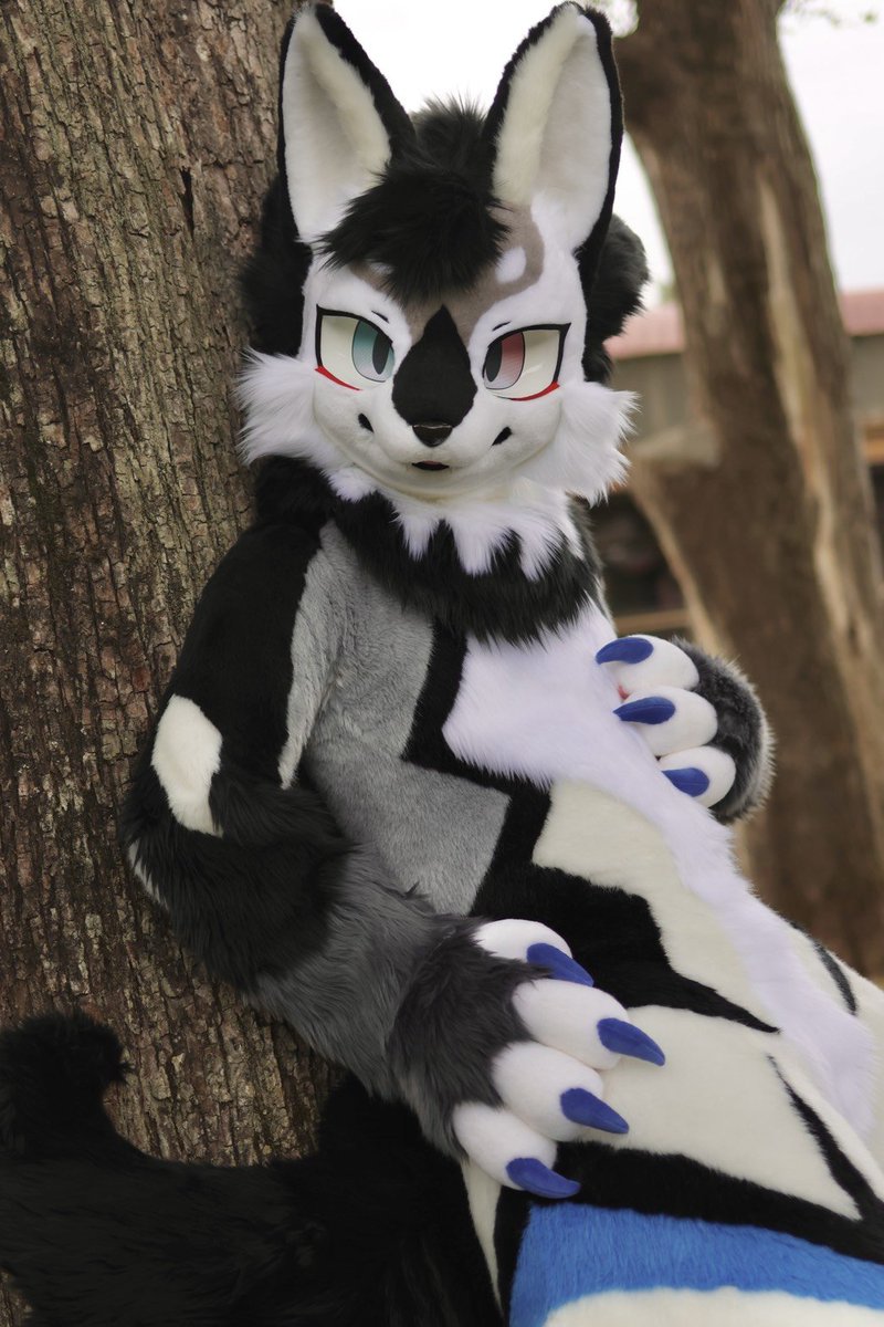Ac6_Ope_AO1's tweet photo. Hello?

📸:@inusimahiro11
🏡:@TAKEDA_DANNY

#FursuitFriday https://t.co/v5HMM1ADQ9