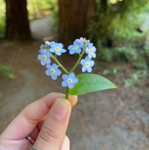 esserviolet's tweet photo. today’s fit + pinterest haul 🧚🏻‍♀️🌱🌸 https://t.co/IUHAWPMxIJ
