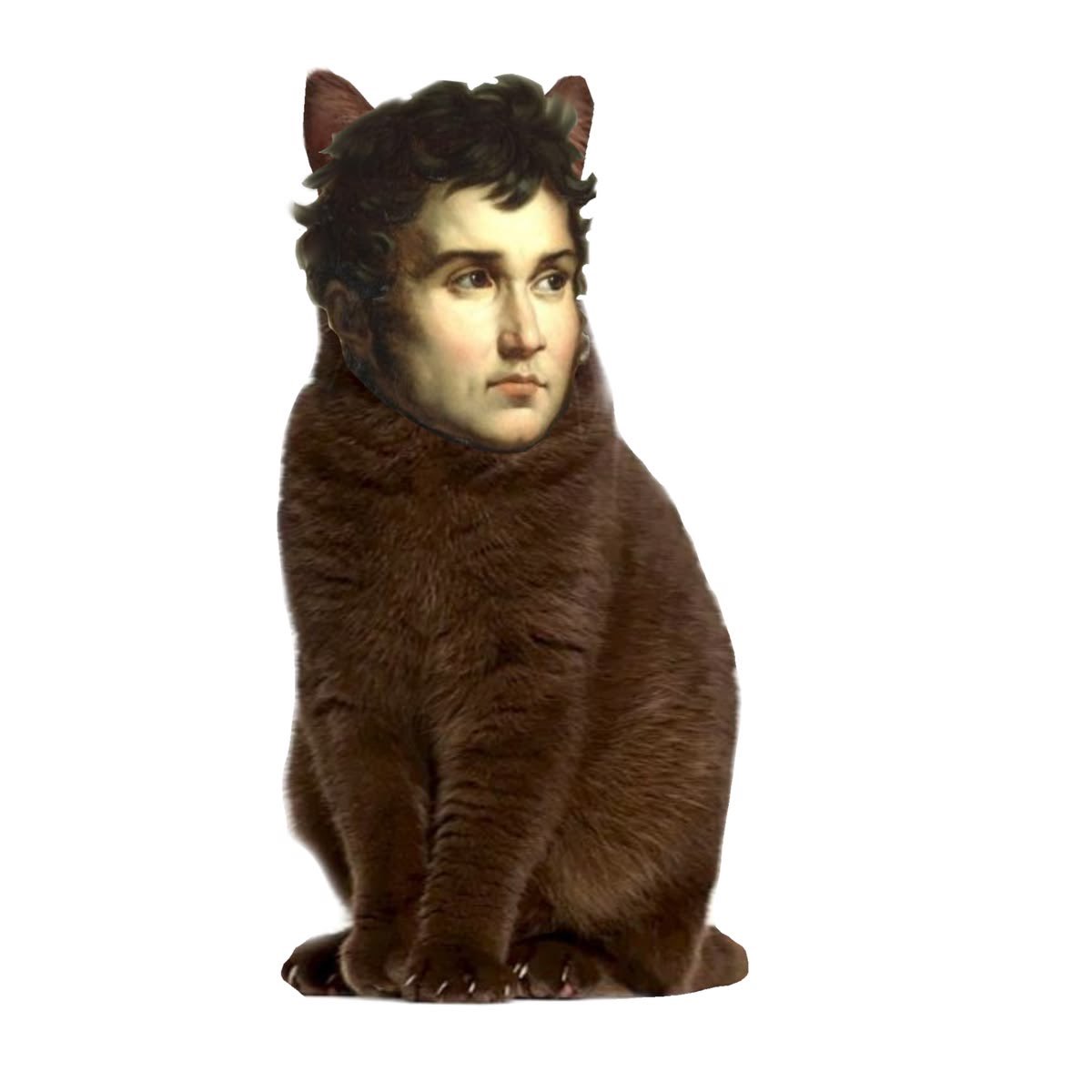 9nathaniels's tweet photo. me an aaron if we were cats with heads of historical figures https://t.co/vtPnuuVRYo