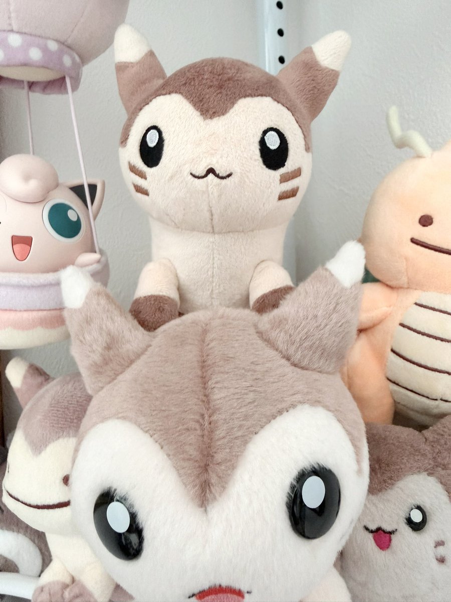 gggpokek's tweet photo. ｷﾞｬｷﾞｬｷﾞｬｷﾞｬｷﾞｬ https://t.co/j2je6AsLu2