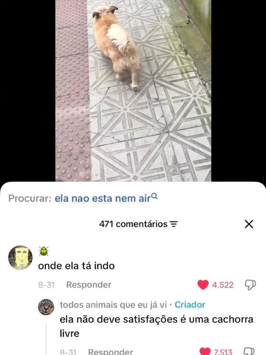 acervodoguinhos's tweet photo. https://t.co/6uaH2WOMiq