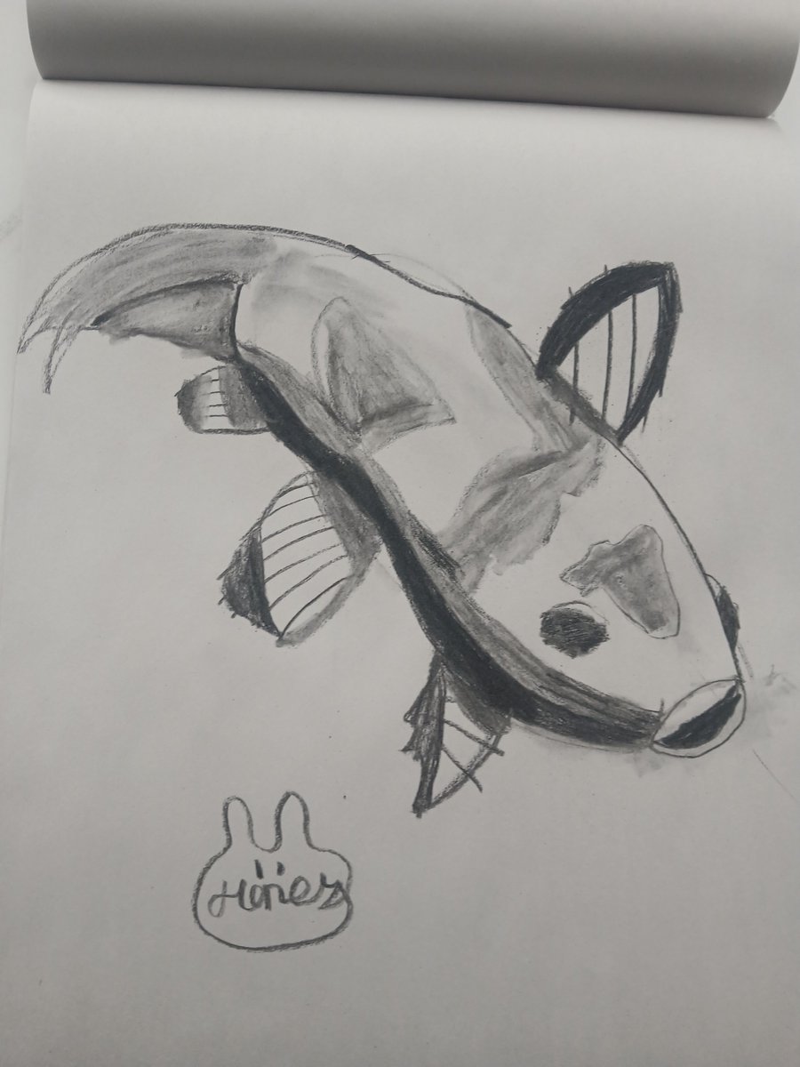 UniversalOwvcz's tweet photo. Still have some digital projects in the making, but college is making it hard, so here's some stuff I made in my art class today https://t.co/4sySfkFGPY