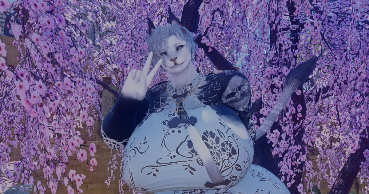 TheHagCyborg's tweet photo. "oh hello Dear, I hope you are all well now...Which of you want to make this cat Purrr?"

#LewdGpose #FemHroth #ffxivnsfw https://t.co/yH5f24s7Tv