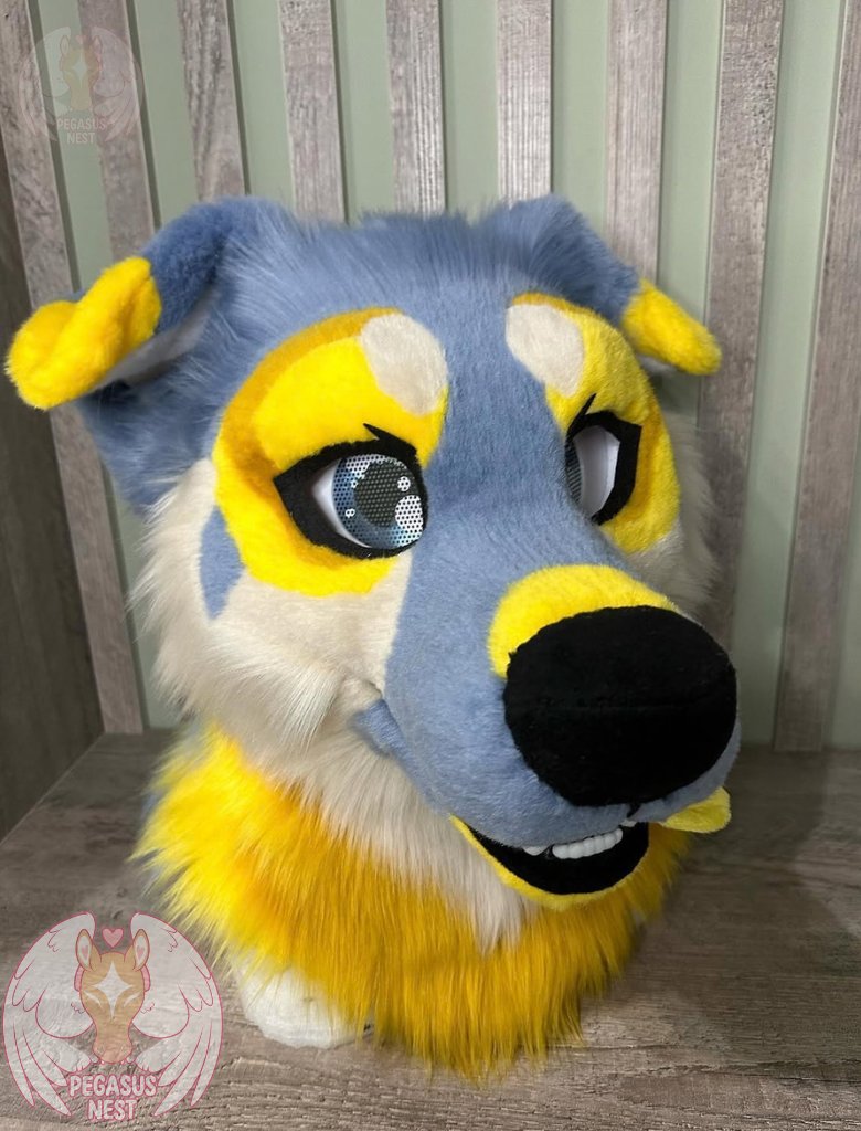pegasusnest's tweet photo. A gorgeous bright puppy ! It is made of premium bigz fur )
lall information is in the profile header!
•
#fursuit #fursuiter #fursuitmaker #fursuitwip #fursuitforsale #fursuitmaking #fursuitsale #fursuitpartial #fursuittail #fursuitparts https://t.co/noI7J7c0eT