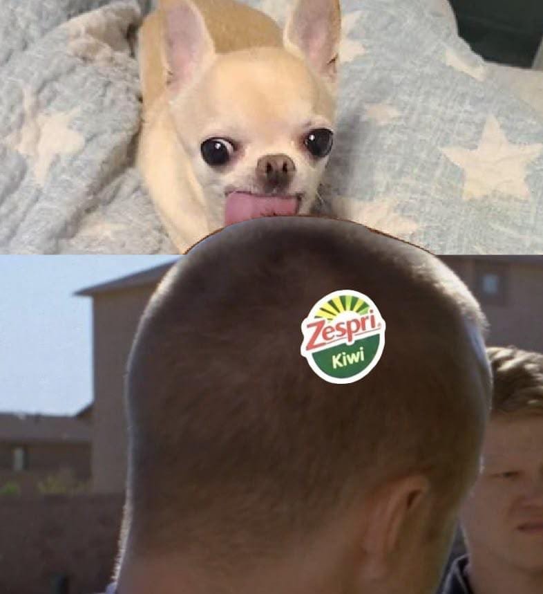 XimeDeath's tweet photo. Now with a puppy 🥝 https://t.co/mKWfB2qy28