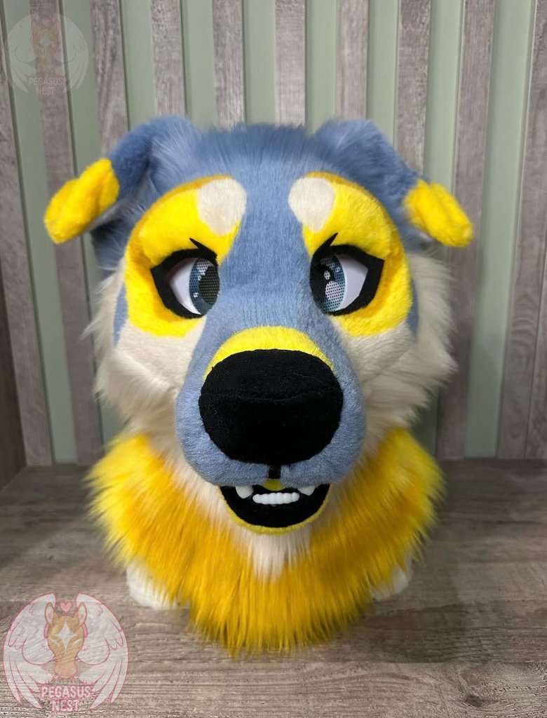pegasusnest's tweet photo. A gorgeous bright puppy! It is made of premium bigz fur )
lall information is in the profile header!
•
#fursuit #fursuiter #fursuitmaker #fursuitwip #fursuitforsale #fursuitmaking #fursuitsale #fursuitpartial #fursuittail #fursuitparts https://t.co/v2ZgJMVi00