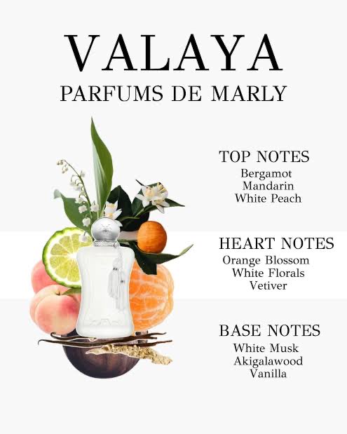 dyeongbi's tweet photo. what admin dyeongbi smells like
pokoknya kalo ada wangi orange blossom dicampur vanilla itu aku ya https://t.co/vwWdo2oFQp